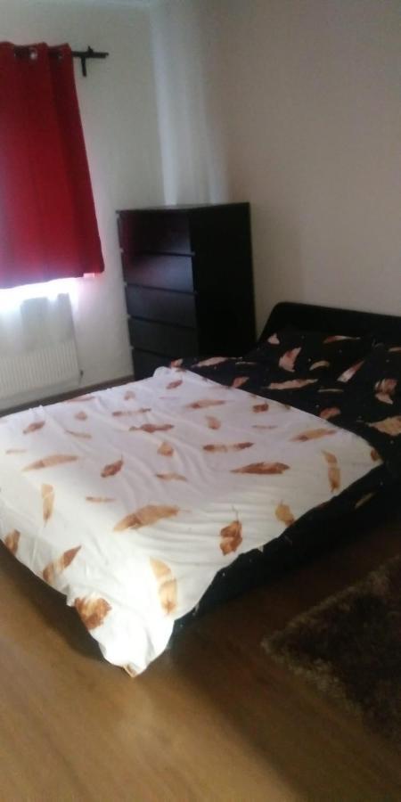 באיה מארה Apartament Marasesti מראה חיצוני תמונה
